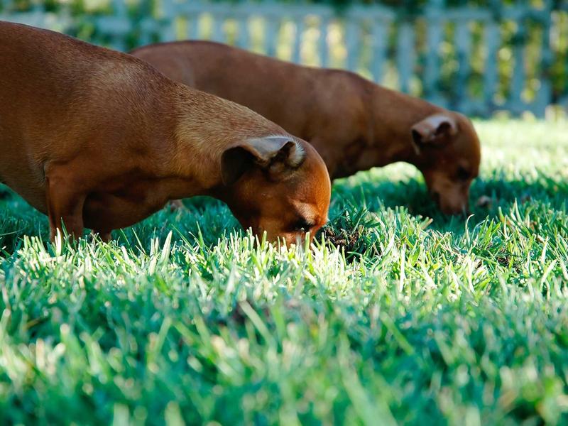 contact screenshot 4