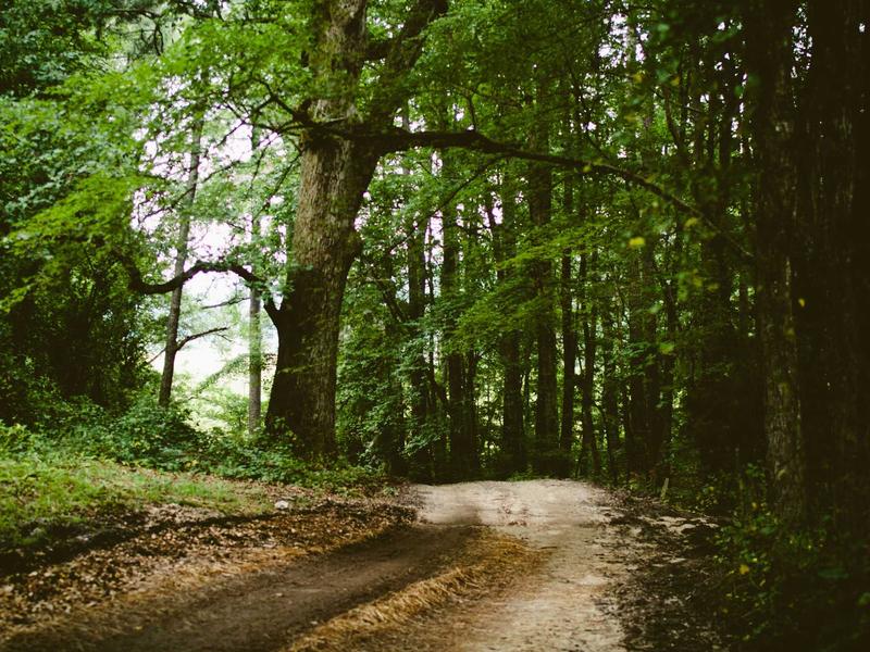 privacy screenshot 4